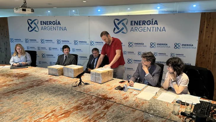El Gobierno inició el desguace y la privatización de Enarsa: todos los detalles