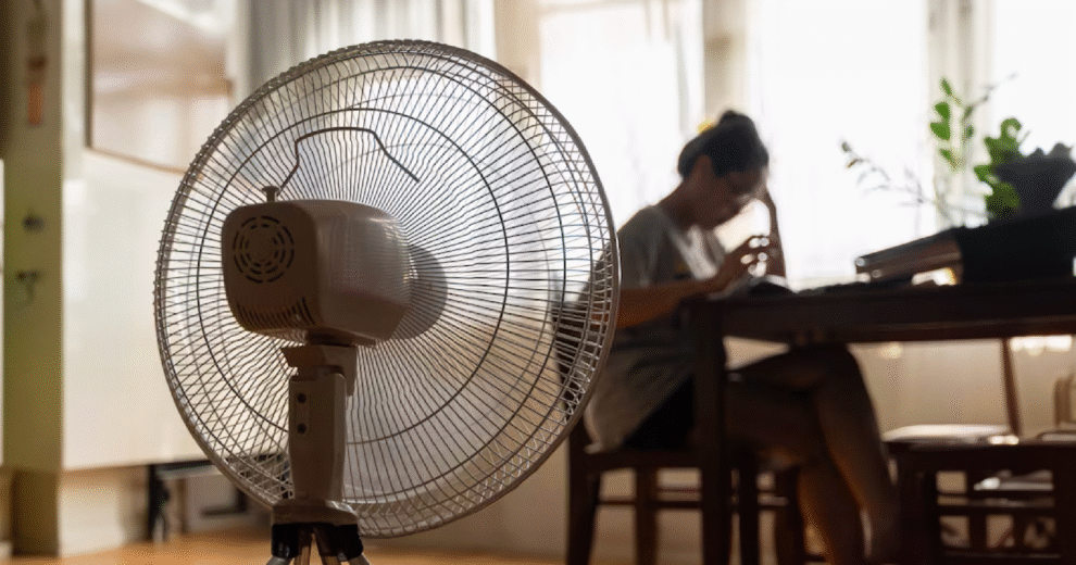 En Formosa y La Rioja los hogares de menores ingresos pagan las tarifas eléctricas más baratas del país